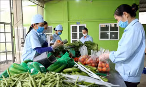 Xây dựng Nghị định riêng quy định về hộ kinh doanh