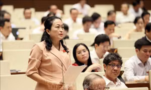 Đánh giá đầy đủ tác động chính sách tiền lương mới với các quy định của Luật BHXH