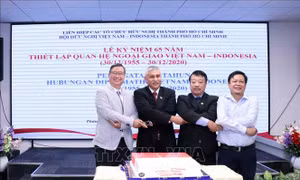 TP Hồ Chí Minh: Kỷ niệm 65 năm quan hệ ngoại giao Việt Nam-Indonesia