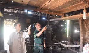 Phát huy phẩm chất Bộ đội Cụ Hồ, làm giàu trên vùng đất mới