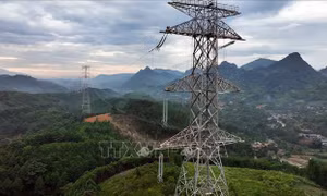 Phú Thọ chỉ đạo đẩy nhanh giải phóng mặt bằng dự án đường dây 500kV Lào Cai - Vĩnh Yên