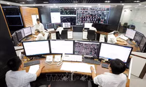 Kế hoạch triển khai thi hành Luật Khoa học, công nghệ và đổi mới sáng tạo