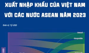 Xuất nhập khẩu giữa Việt Nam với các nước ASEAN năm 2023 - Phần cuối