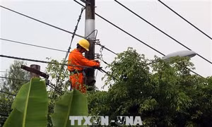 Gần 100 hộ dân xã nông thôn mới vẫn 'ngóng' điện lưới quốc gia