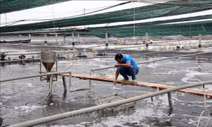 Hướng tới mục tiêu Net Zero - Bài cuối: Hành trình xanh bền vững của đô thị ven biển