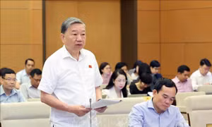 Cho ý kiến về dự án Luật Phòng, chống mua bán người (sửa đổi)