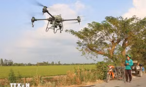 Đưa khoa học, công nghệ và đổi mới sáng tạo thành động lực tăng trưởng