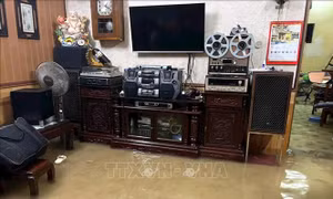 Người dân Nam Định chung tay bảo vệ đê, vệ sinh môi trường sau mưa lũ