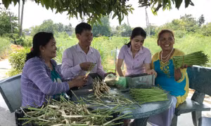 Chủ trương của Đảng, ý nguyện của dân - Bài cuối: Bài học kinh nghiệm từ cơ sở