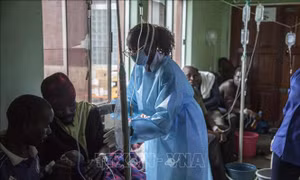 LHQ hỗ trợ khẩn cấp 2,5 triệu USD giúp Zambia chống dịch tả bùng phát