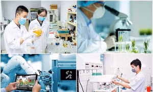 Bộ trưởng Nguyễn Chí Dũng: Thời điểm phù hợp khơi thông nguồn lực, phát huy vai trò doanh nghiệp quy mô lớn