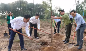 Tết trồng cây: Nâng cao ý thức bảo vệ rừng, gìn giữ tài nguyên thiên nhiên