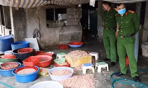 Siết chặt quản lý vệ sinh an toàn thực phẩm dịp cuối năm