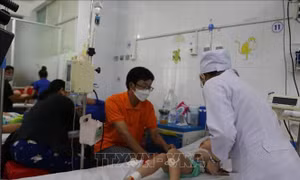 Đoàn công tác Bộ Y tế kiểm tra phòng, chống sốt xuất huyết tại Cà Mau