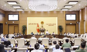 UBTV Quốc hội cho ý kiến về Bộ luật Hình sự (sửa đổi), Luật Tổ chức cơ quan điều tra hình sự (sửa đổi)