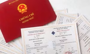 Một số điểm mới trong tổ chức thi cấp chứng chỉ năng lực ngoại ngữ của nước ngoài