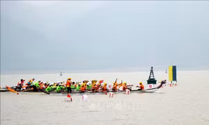 Khai mạc Giải đua thuyền và ván chèo đứng vô địch quốc gia 