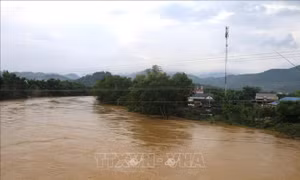 Cảnh báo lũ trên các sông nhỏ và nguy cơ lũ quét, sạt lở ở Bắc Bộ
