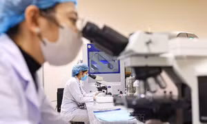 Đột phá theo Nghị quyết 57: Phê duyệt Chương trình hỗ trợ nghiên cứu sinh xuất sắc giai đoạn 2026-2030
