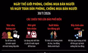 Chung tay phòng, chống mua bán người