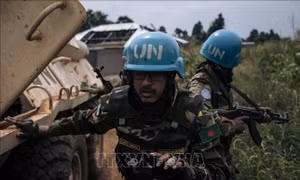 LHQ kêu gọi đàm phán nhằm chấm dứt bạo lực ở phía Đông CHDC Congo