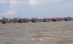 Kế hoạch khắc phục khuyến nghị của EC về chống khai thác IUU​