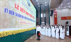 Quy định số 207-QĐ/TW của Ban Chấp hành Trung ương về những điều đảng viên không được làm