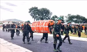 Ứng phó bão số 5: Quảng Trị cho học sinh nghỉ học, điều chỉnh ngày tựu trường