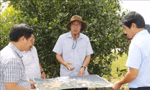 Đôn đốc tiến độ các dự án trọng điểm ven biển Lâm Đồng