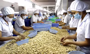 Xuất khẩu nông, lâm, thủy sản 5 tháng tăng trên 9%