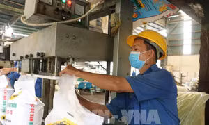 Nhiều quy định mới về quản lý phân bón có hiệu lực từ ngày 1/7