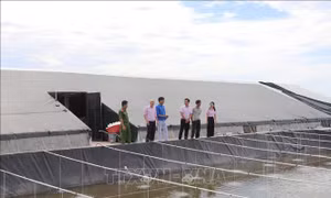 Tín dụng chính sách tiếp sức hành trình hoàn lương