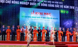 Khai mạc Hội chợ Nông nghiệp Quốc tế Đồng bằng Bắc Bộ 2018