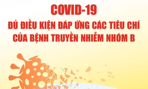 Thủ tướng: COVID-19 đủ điều kiện đáp ứng các tiêu chí của bệnh truyền nhiễm nhóm B
