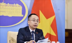 Việt Nam phản đối hành vi trồng rau của Trung Quốc ở Hoàng Sa