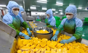 Xuất khẩu nông sản không thể dựa vào lợi thế cũ