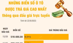 Những biển số ô tô được trả giá cao nhất qua đấu giá trực tuyến