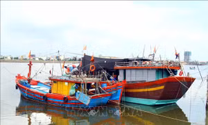 Quảng Bình tập trung giải quyết tình trạng tàu cá '3 không'
