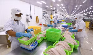 Cần Thơ đặt mục tiêu có thêm khoảng 300 doanh nghiệp thành lập mới/năm