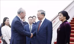 Chuyến thăm Trung Quốc của Tổng Bí thư, Chủ tịch nước Tô Lâm có ý nghĩa quan trọng và tầm chiến lược sâu rộng