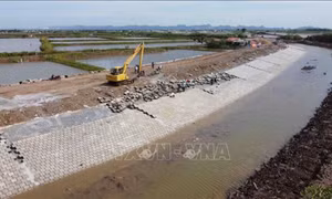 Tăng cường công tác tuần tra canh gác, đảm bảo an toàn đê điều