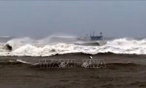 Từ 12 giờ ngày 11/9, người dân Lý Sơn và Bình Sơn (Quảng Ngãi) được yêu cầu không ra khỏi nhà
