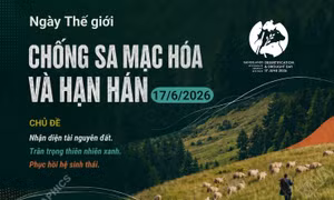 Ngày Thế giới chống sa mạc hóa và hạn hán 17/6/2026: Nhận diện, trân trọng và phục hồi
