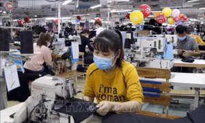 Năm 2023, Bắc Giang có nhu cầu tuyển dụng gần 60.000 lao động
