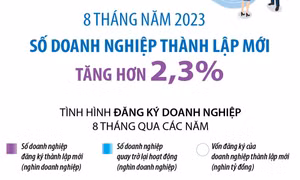 Số doanh nghiệp thành lập mới trong 8 tháng tăng hơn 2,3%