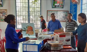 Lừa đảo bán nồi cơm điện, chảo đa năng 'tung hoành' ở vùng nông thôn