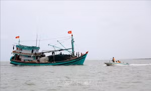 Mục tiêu kép trong gỡ 'thẻ vàng' EC bền vững