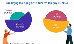 Quý III/2024: Lực lượng lao động tiếp tục tăng