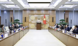Việt Nam - Đức đẩy mạnh chia sẻ kinh nghiệm lập pháp, chuyển đổi số trong hoạt động nghị viện