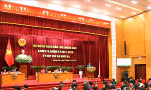 Quảng Ninh chi hơn 1.700 tỷ đồng để thực hiện chính sách hỗ trợ sữa học đường
